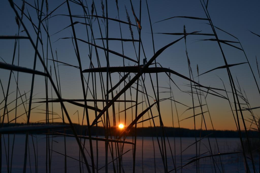 Loikansaari Lomamoekit Holiday Cottages Kallislahti Luaran gambar